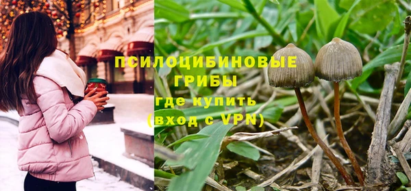 PSILOCYBIN Усмань
