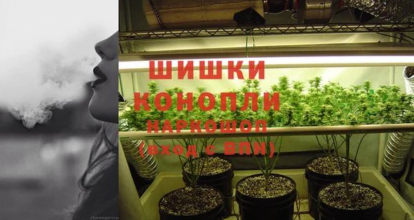 PSILOCYBIN Усмань