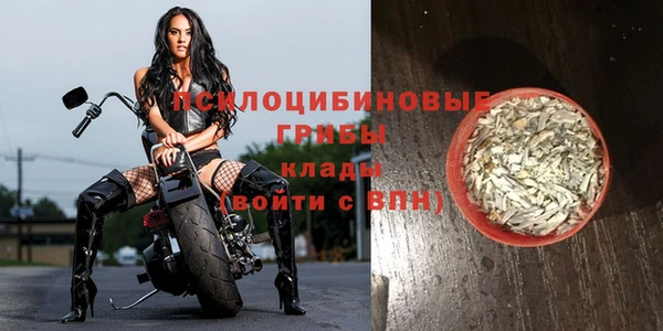 PSILOCYBIN Усмань