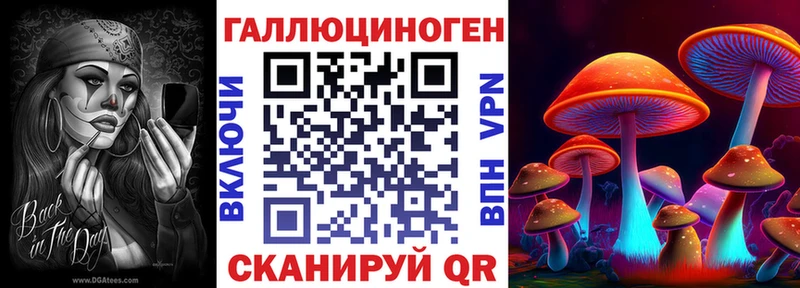 Купить  Елизово  Псилоцибиновые грибы Psilocybine cubensis 